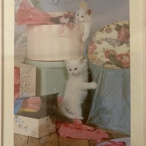 Vintage Susan‎ Schelling photography 1986 kitten and hat boxes